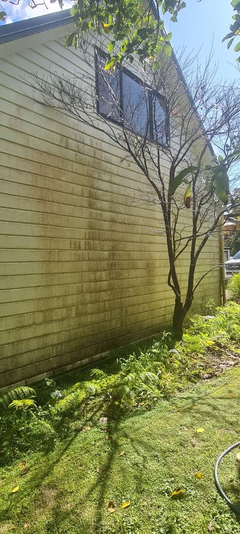 House exterior before washing, covered in algae and grime