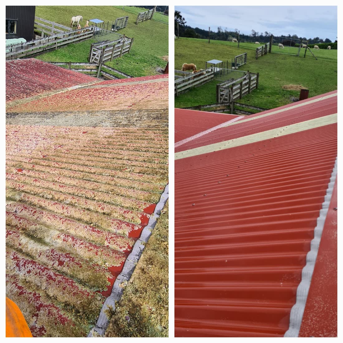 Before and after roof wash in Waitākere — mossy to clean