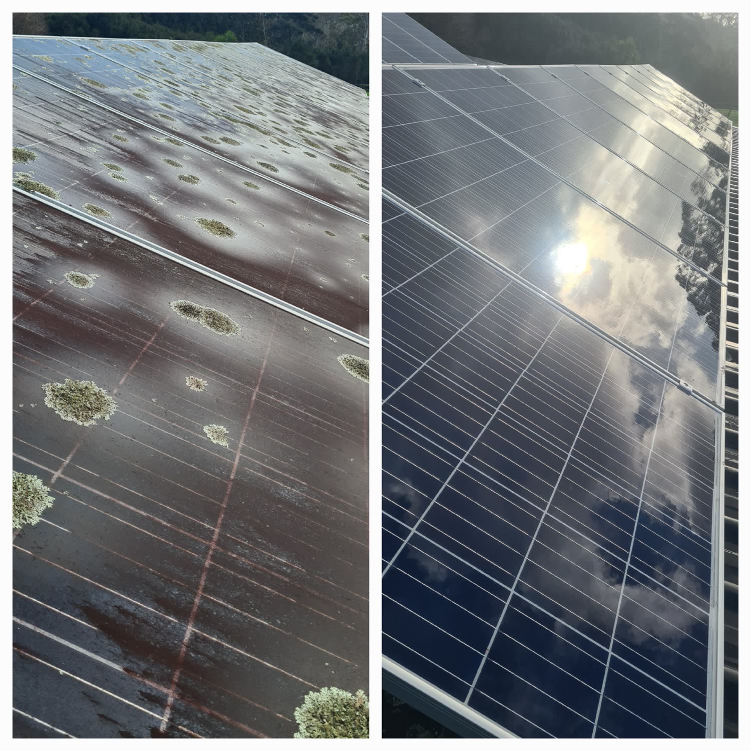Before and after solar panel cleaning